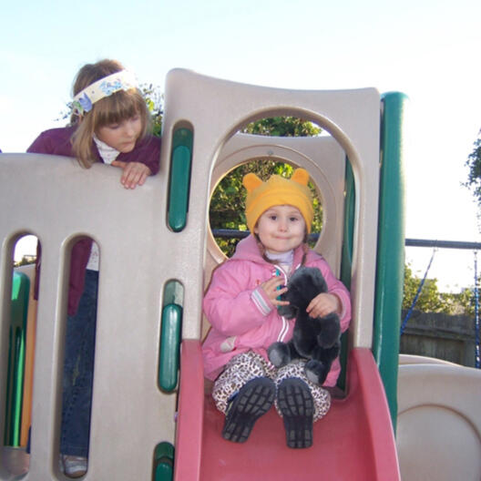 Children playing on the backyard slide structure