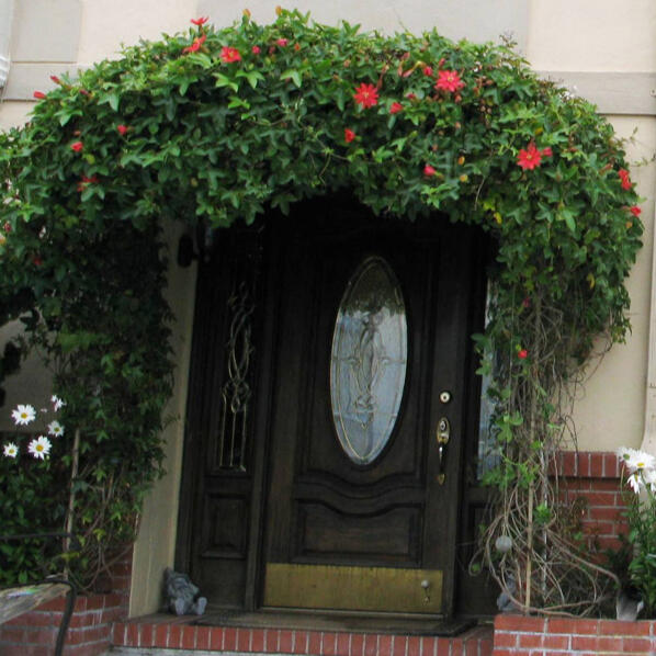 Untitled Flower-covered entrance to Lana’s Sunset Preschool