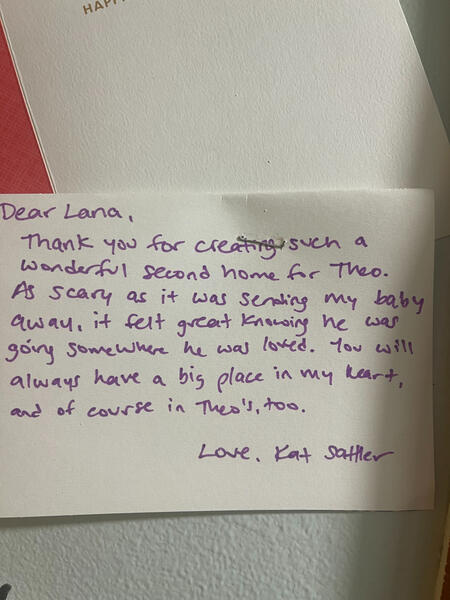 Parent testimonial about Lana’s loving daycare