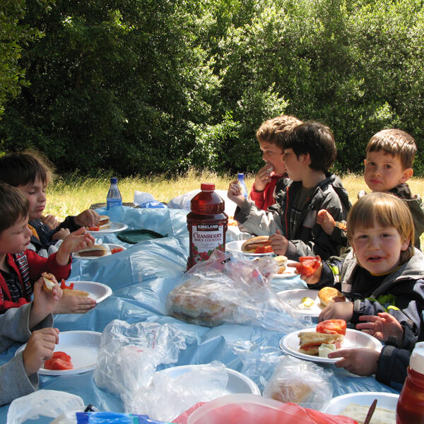 Children enjoying an outdoor picnic together